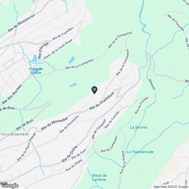 Prächtiges 3,5-Zimmer-Terrassenapartment in Savièse - Karte