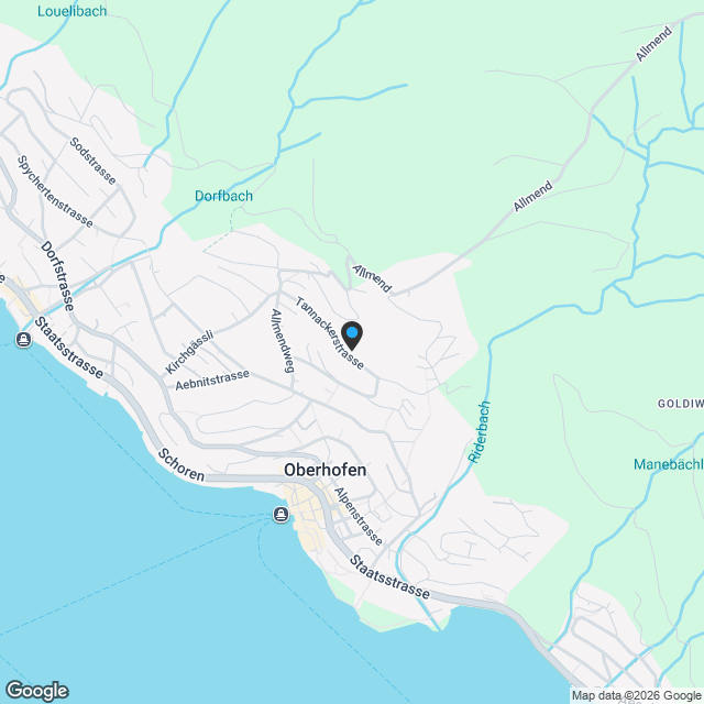 4½-Zi-Neubauwohnung mit hochwertigem Ausbau (Miet-/Kaufoption möglich) - Karte