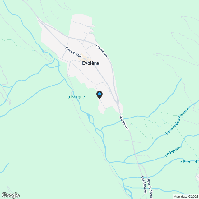 Appartement 2 1/2 pièces à Evolène - Karte