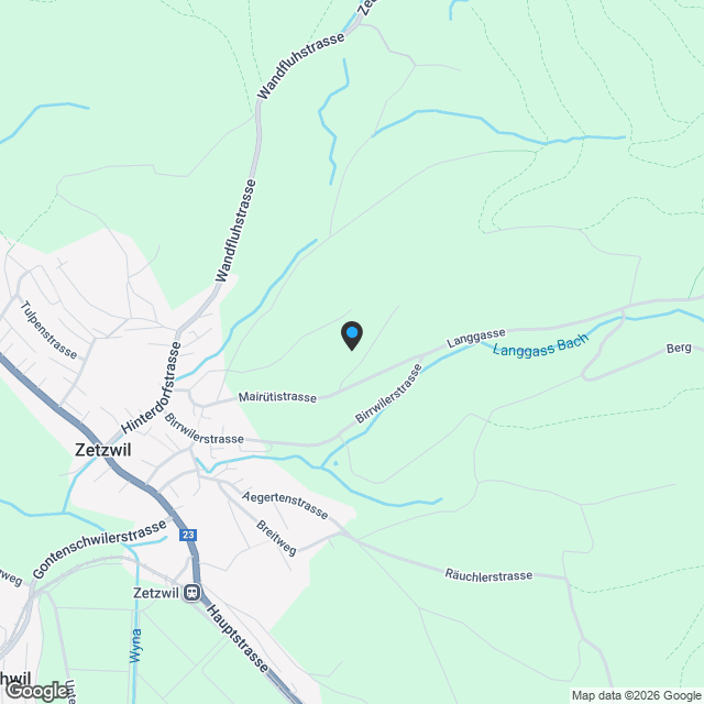 Neubauprojekt: 5.5 Zimmer-EFH am Sonnenhang mit Alpenblick - Karte
