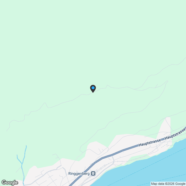 Sonnenterrasse & Seeblick ? Ihr Leben am Brienzersee - Karte