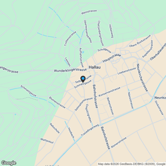 EFH Nr. 17 "Küferdörfli" Hallau - Karte