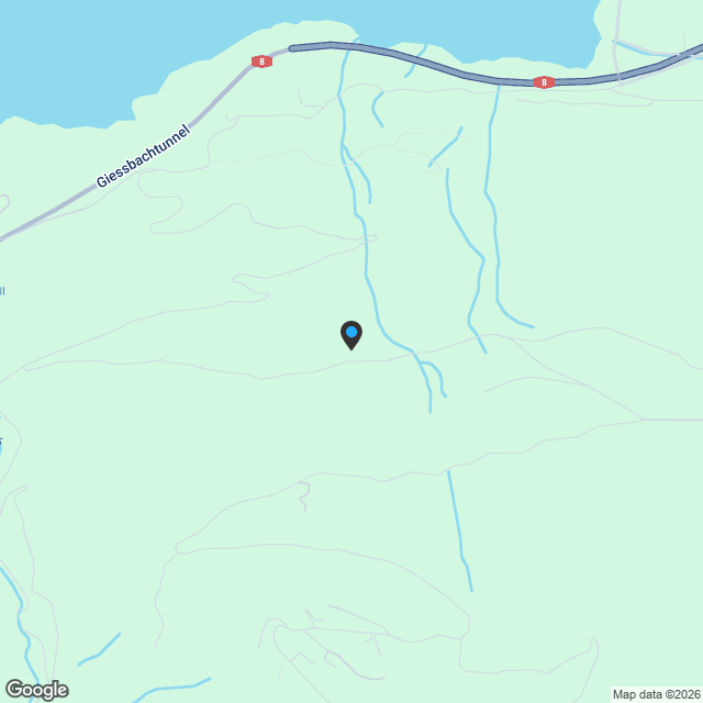 Lichtdurchflutete 4.5-Zimmer-Erdgeschosswohng mit Blick auf den Brienzersee - Karte