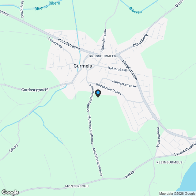 Haus 24a - Ihr Traumreihenhaus zwischen Stadt und Natur – Projekt «Nusshain» - Karte