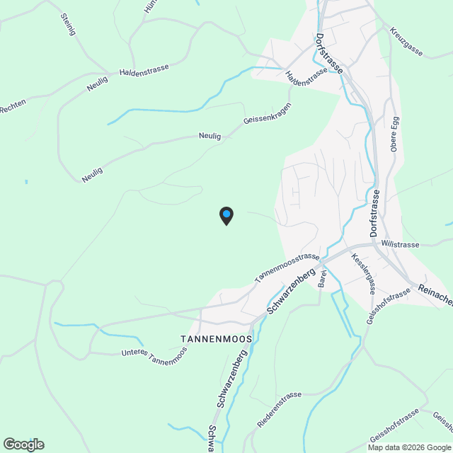 NEUBAU! 5½-Zimmer-Einfamilienhaus, freistehend - Karte