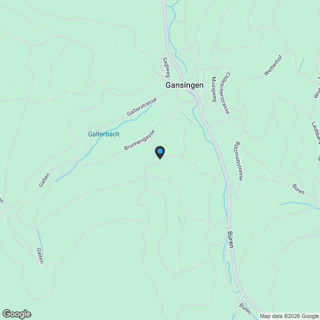 Neubauprojekt: Wohnraum Gansingen - Karte
