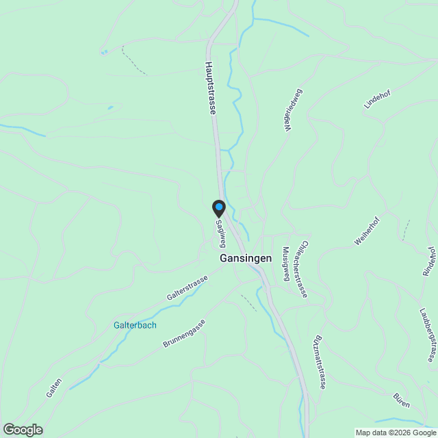 Neubauprojekt: Wohnraum Gansingen - Karte