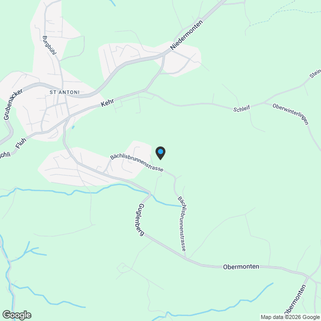 5 1/2 Zimmer Neubau-Wohnung im Erdgeschoss mit grosszügigem Gartenanteil - Karte