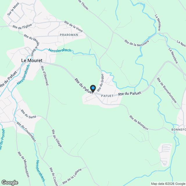 Villas 5.5 pièces avec terrasse - Nouvelle construction au Mouret - Karte