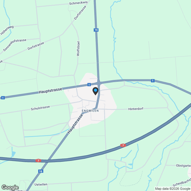 *Neubau* Letztes 5 ½-Zimmer-Haus in Engwilen - angrenzend an Freihaltezone - Karte