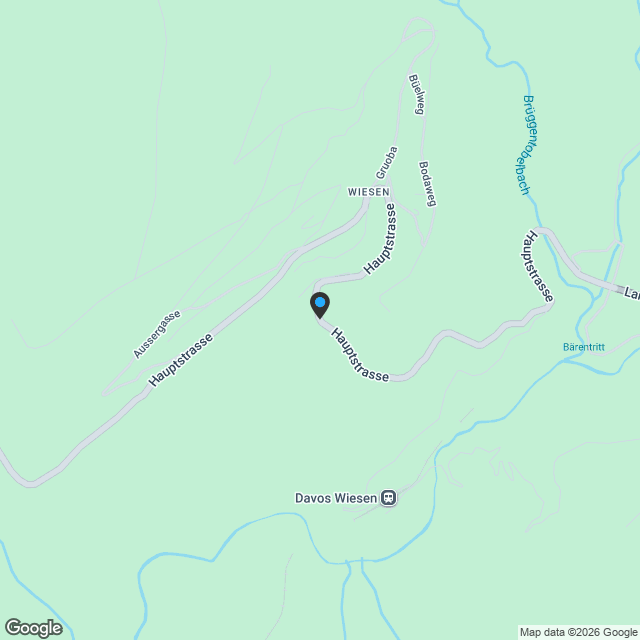 5.5-Zimmer-Doppeleinfamilienhaus als hochwertiger Erstwohnsitz (2B) in Davos Wiesen - Karte