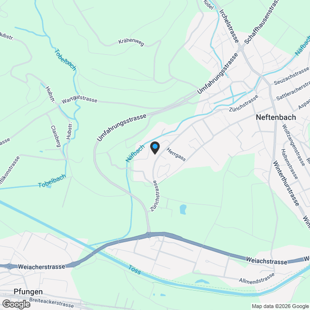 Neubau Müliwis: 4.5-Zimmerwohnung im Erdgeschoss - Karte