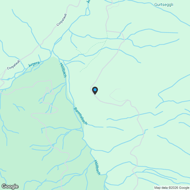 Neubauprojekt in Plasselb - Karte