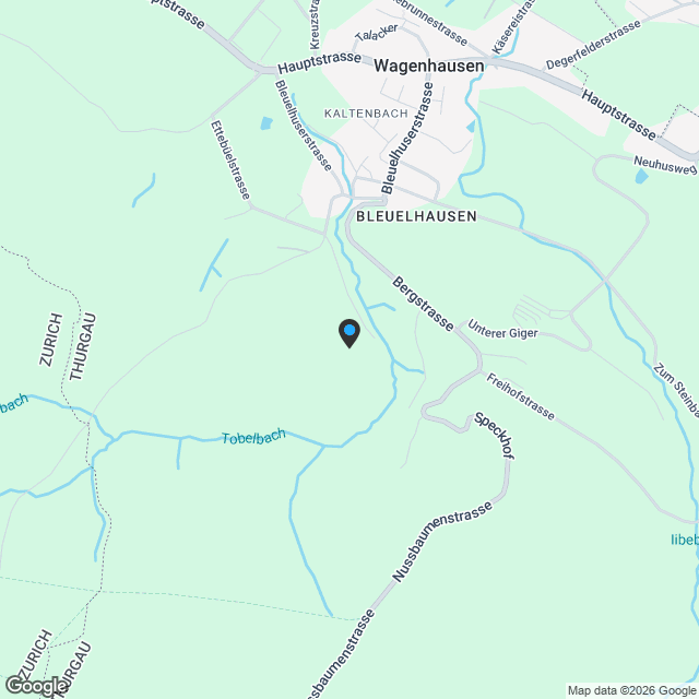 Exklusive 7.5-Zimmer-Doppelhaushälfte mit Gartenparadies und Aussicht - Karte