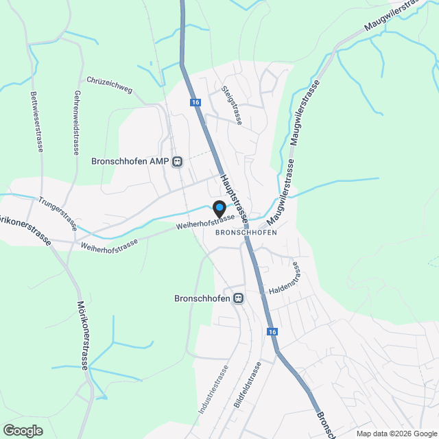 Rohbaubesichtigung möglich! 5.5 Zimmer Triplexwohnung I WEIHERHOF - natürlich mittendrin - Karte