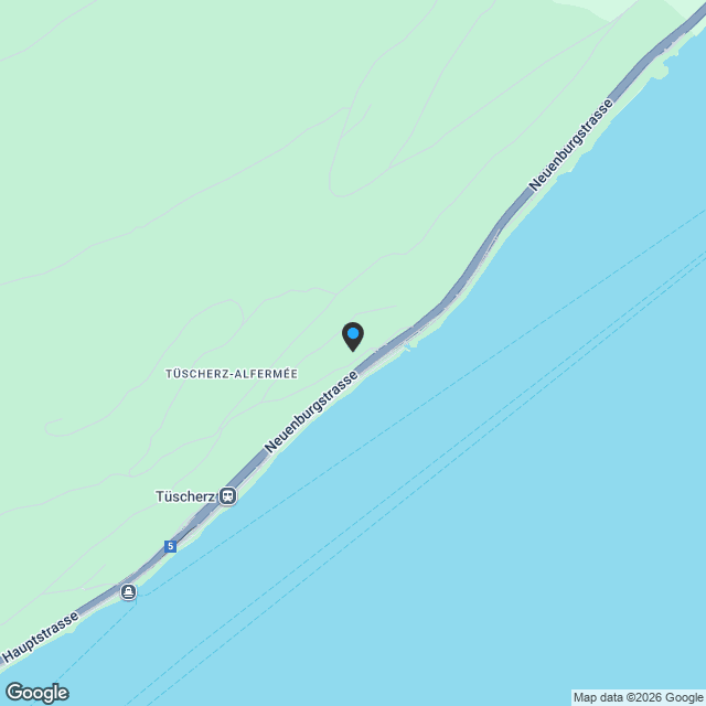 5.5-Zimmer Luxus-Duplex-Terrassenhaus mit Seesicht und Alpenblick - Karte