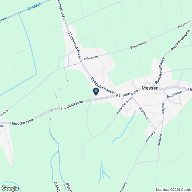 Modernes Einfamilienhaus mit 5.5 Zimmern in Messen - Karte
