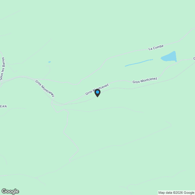 Splendide 5.5p sous les combles orienté sud dans bâtiment historique! - Karte