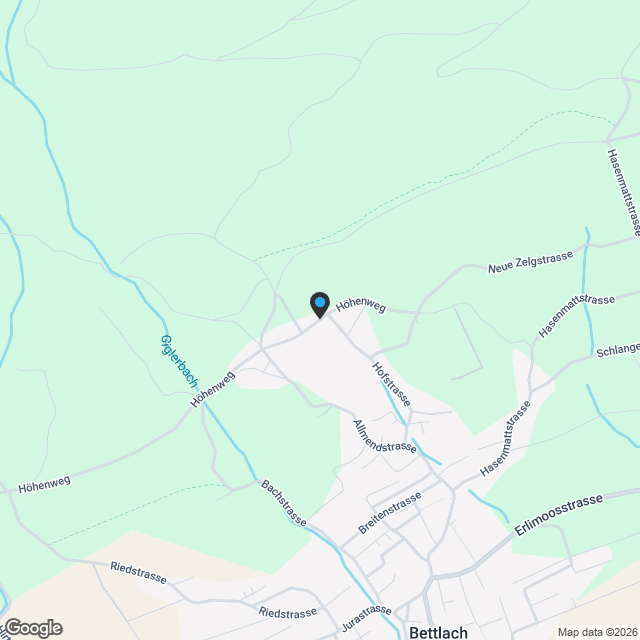 Bauland mit Altbauliegenschaft in Bettlach mit vielseitigen Nutzungsmöglichkeiten - Karte