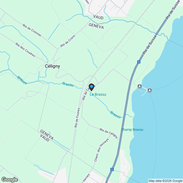 LOT 2 | OPPORTUNITÉ RARE À CÉLIGNY | SUPERBE 5 PIÈCES AVEC TERRASSE DE 26 M² - Karte