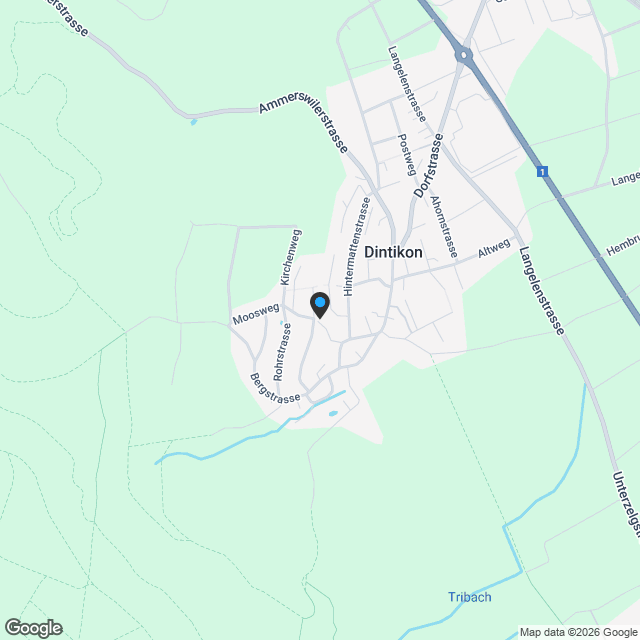 6.5 Zimmer Einfamilienhaus Debisgasse in Dintikon - Karte