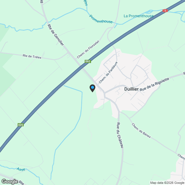 Appartement 4.5 pièces à Duillier - Karte