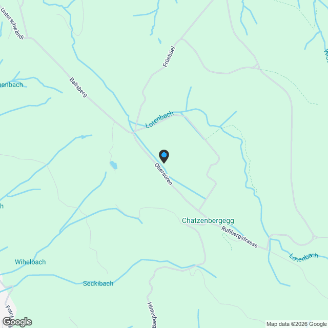 Garden Duplex-Wohnung Haus D Wohnensemble Ochsenrüti, Walchwil - Karte