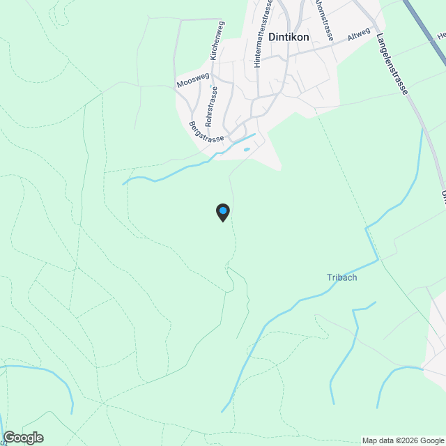 6 1/2-Zimmer-Einfamilienhaus A - Karte