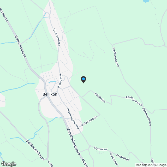 "Schlossberg Bellikon - Attraktives Wohnen am Hang" - Karte