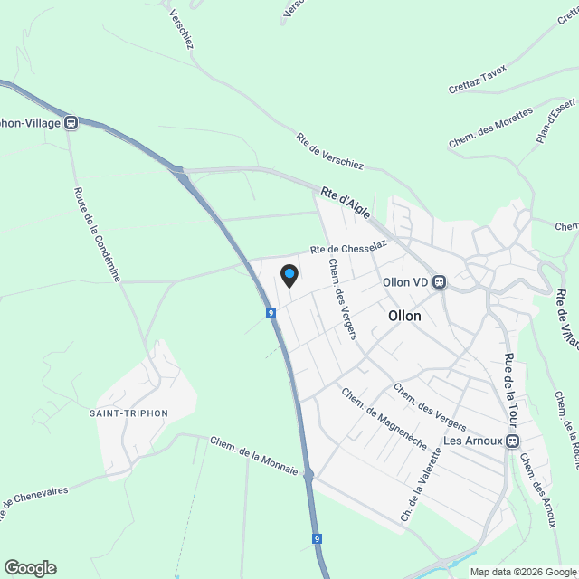 Ollon - Villas les Coquelicots - Nouvelle promotion - 4.5 pièces - 5A - Karte