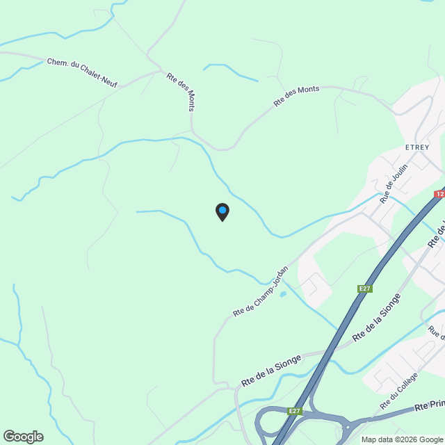 Villa individuelle 5.5 pièces à Riaz - Karte