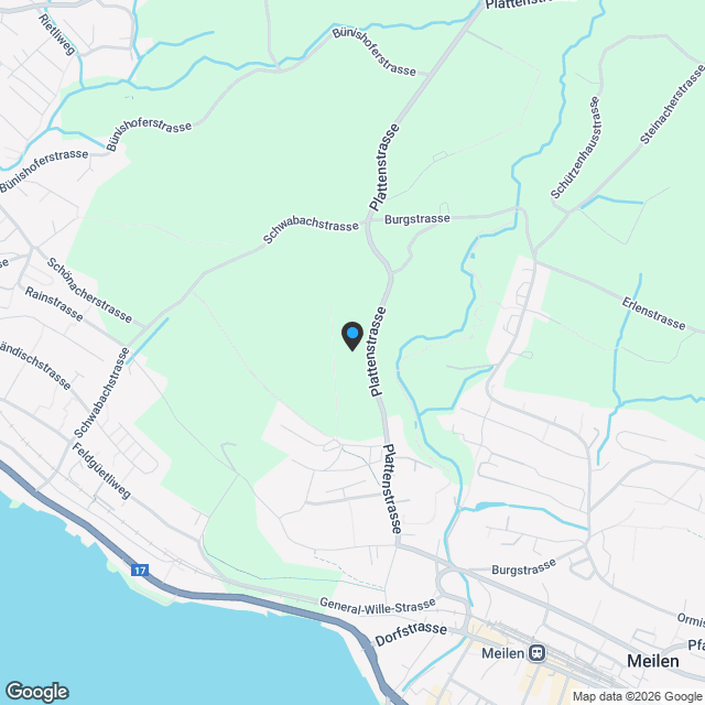 Exklusive 4.5-Zimmer-Eigentumswohnungen mit guter Seesicht - Karte