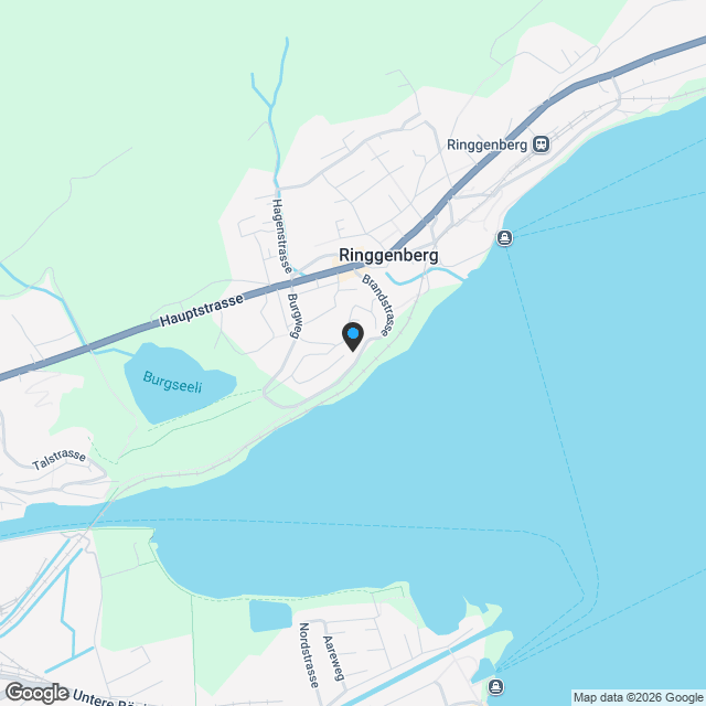 Traumhaus am Brienzersee mit 3.5-Zi-Wohnung, Lift und Panorama! - Karte