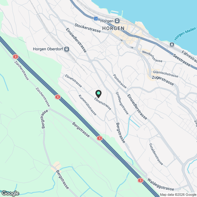 Erstvermietung 4.5-Zimmer-Reihen-Eckhaus in Horgen - Karte