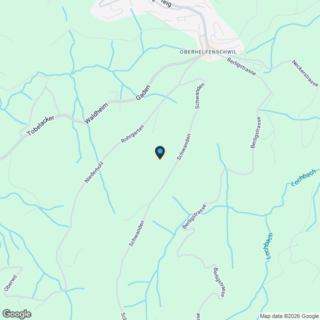 Neues 5.5-Zimmer-Einfamilienhaus mit Aussicht in Neckertal - Karte