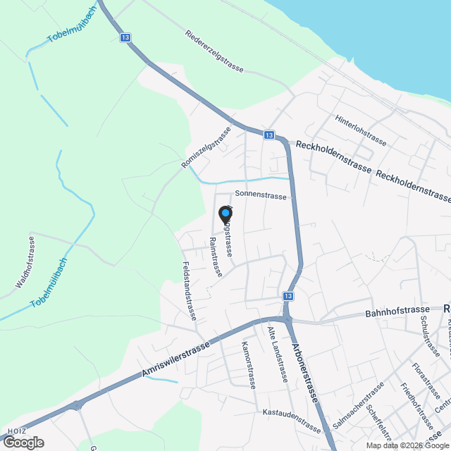 neue 4.5-Zi.-Eigt.-Wohnung - Karte