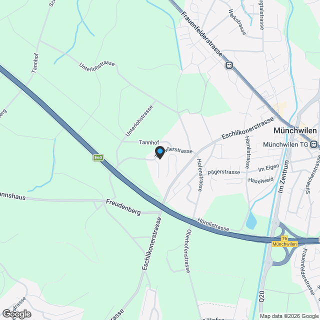 Modernes 5.5-Zimmer-Einfamilienhaus mit Garage in Münchwilen TG - Karte