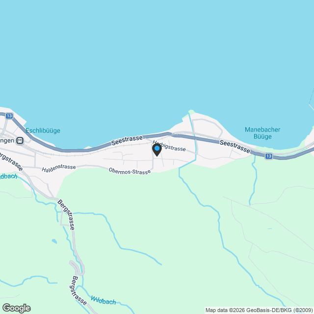 DEFH A + B - Exklusives Baugrundstück am Untersee mit erstklassigem Wo - Karte