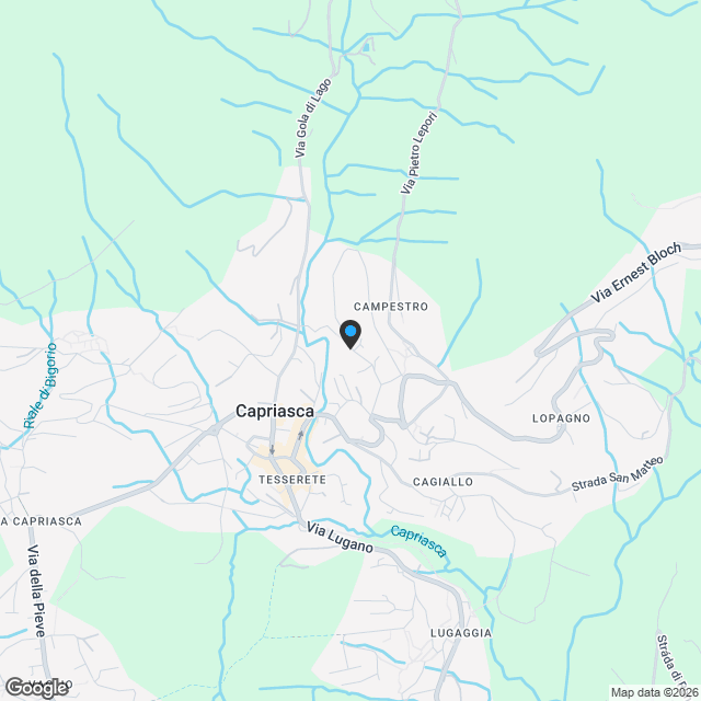 NUOVO APPARTAMENTO 2.5 LOCALI AL PIANO TERRA A TESSERETE - Karte