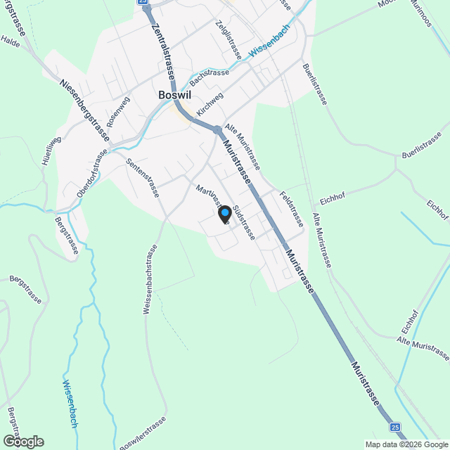 Chriesiblüte - 4 exklusive Wohnhäuser in Böswil - Karte