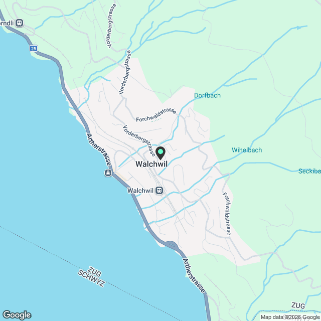 Freistehendes 2.5-Zimmer-Chalet in Walchwil – See-/Rigi-Sicht – Neubau 2026 - Karte