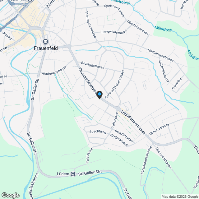 Licht & Weite modernes Wohnen in Frauenfeld - Karte