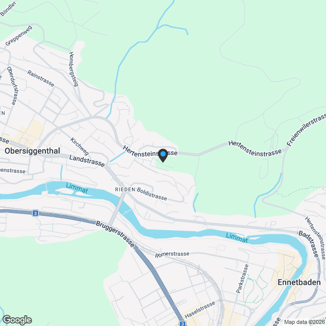 Neubau Doppeleinfamilienhaus AM RING - Karte