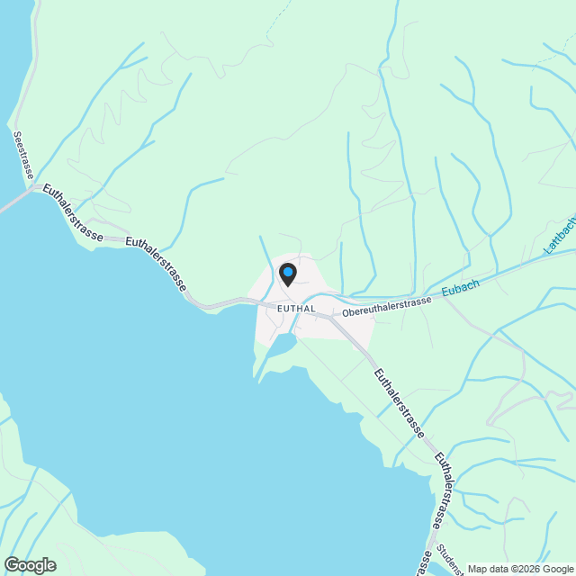 5.5-Zimmer EG-Wohnung mit grossem Garten in Euthal kaufen - Karte