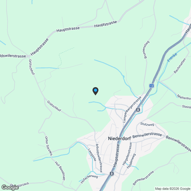 6.5 Zimmer Einfamilienhaus Niederdorf Haus 4 - Karte