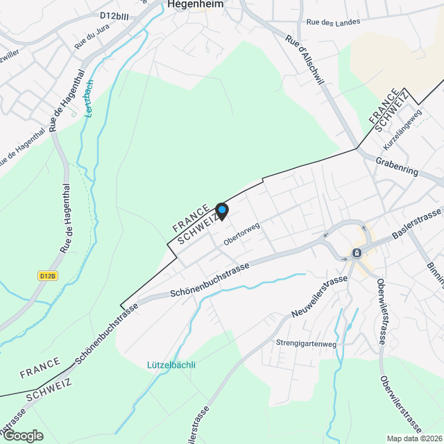 Neubau - Doppeleinfamilienhaus an erhöhter Lage "Allschwil Rosenberg"! - Karte