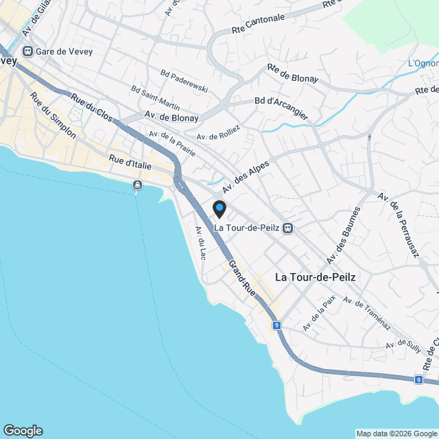 PROMOTION AZUR & NEIGE LA TOUR-DE-PEILZ - Karte