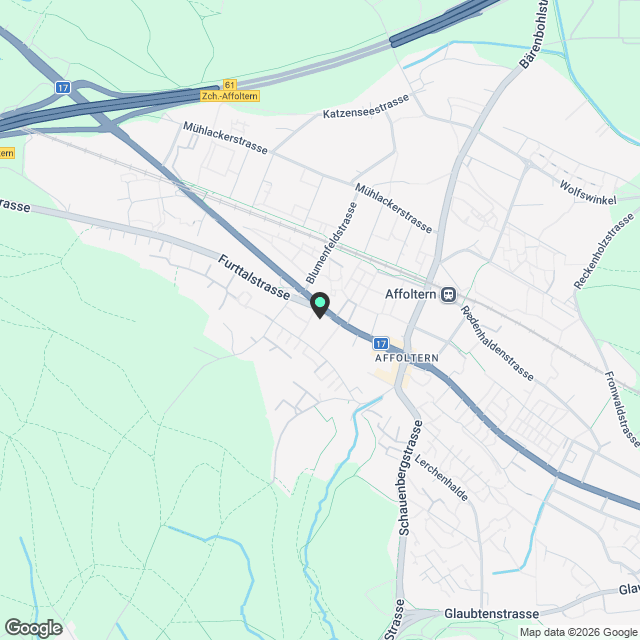 2.5 Zimmerwohnung in Zürich - Karte