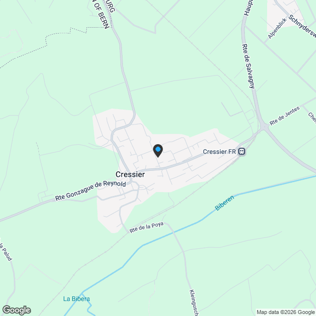 Appartement traversant de standing, en construction à Cressier - Karte