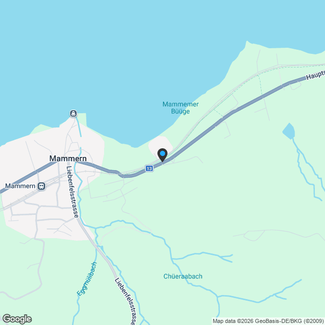 Stilvolle 4.5-Zimmer-Wohnung mit hochwertiger Ausstattung in See nähe - Karte